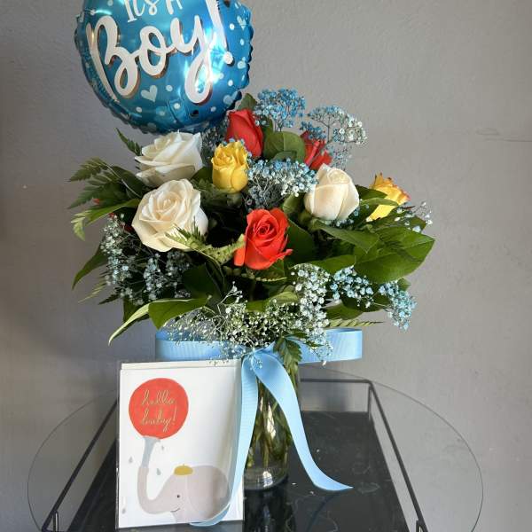 Welcome Baby Boy Package!