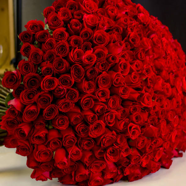 Large bouquet of red roses