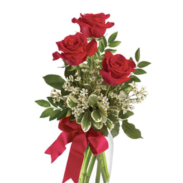 Thoughts on You Rose