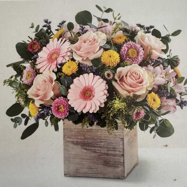 Blooming with Deliight