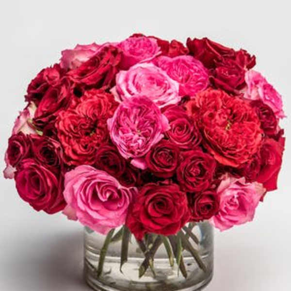 Bouquet of pink and red roses in a clear glass vase