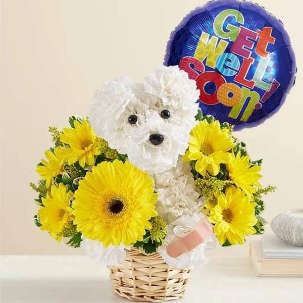 White flower dog arrangement with yellow daisies and a "Get Well Soon!" balloon