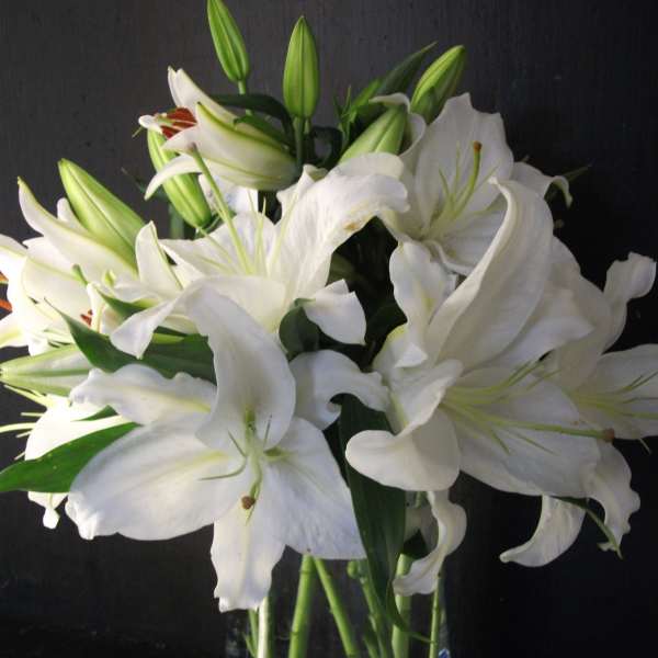 White lilies arranged in a clear glass vase