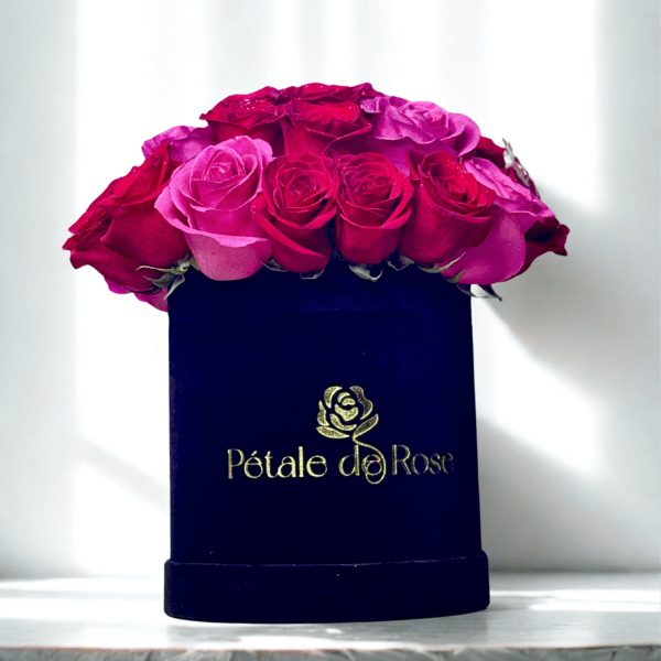 Pink and red small black box