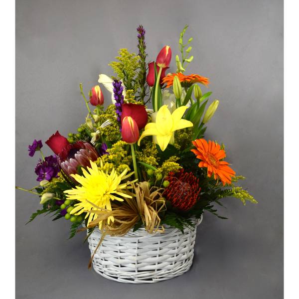 Mixed bouquet in a white wicker basket with bright tulips, lilies, and daisies