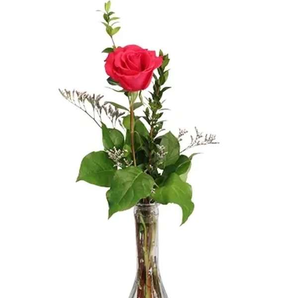 Single red rose in a clear glass vase