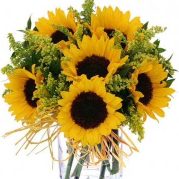Bouquet of yellow sunflowers in a clear glass vase