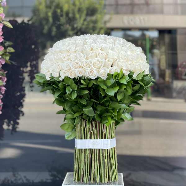 Large dome of white roses with a band of green foliage