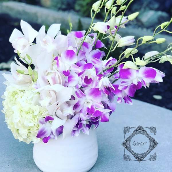 White and purple orchid arrangement in a white vase