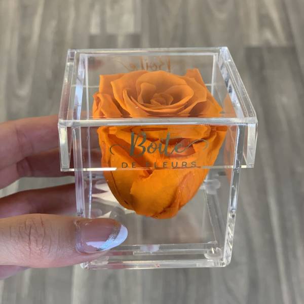 Single orange rose in a clear acrylic box