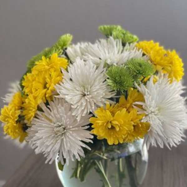 White and yellow chrysanthemum bouquet in a glass vase