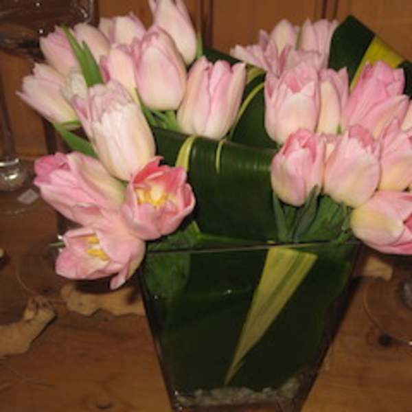 Pink tulips arranged in a tall glass vase