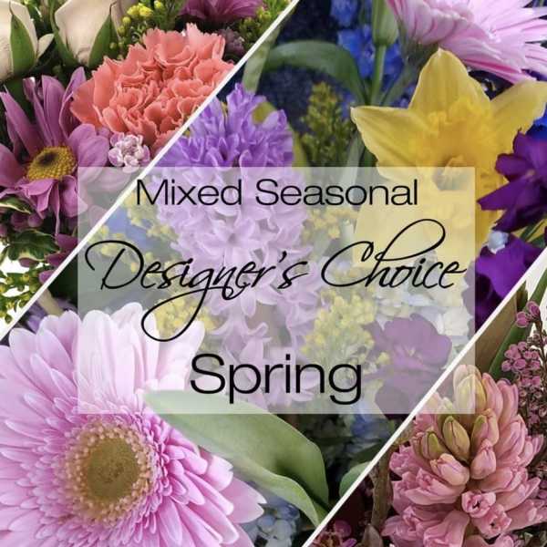 Spring Designer's Choice