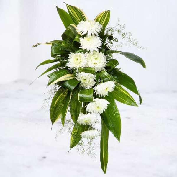 Tall arrangement of white chrysanthemums with large glossy green leaves in a cascading design