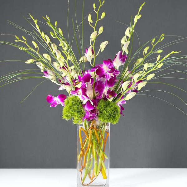 Purple orchids in a tall glass vase with green pom-pom accents