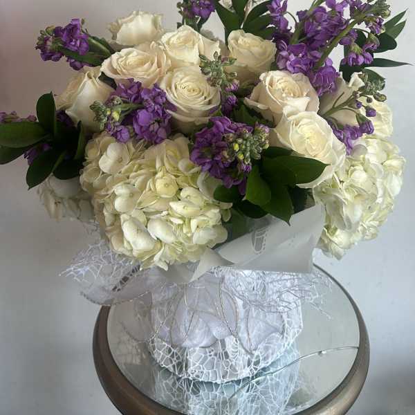 Hydrangea Heaven