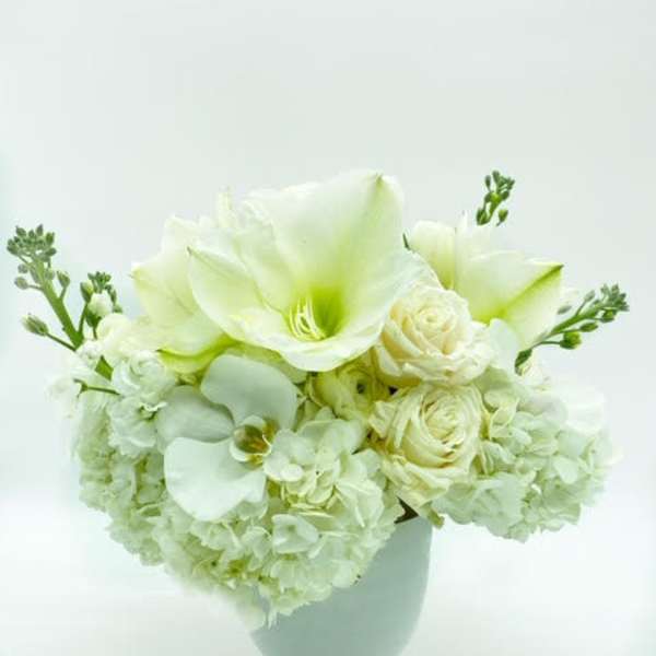 White floral arrangement in a white vase with large blooms