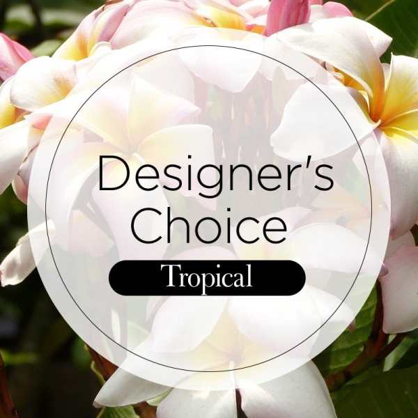 Close-up of white and pink tropical flowers with a text overlay