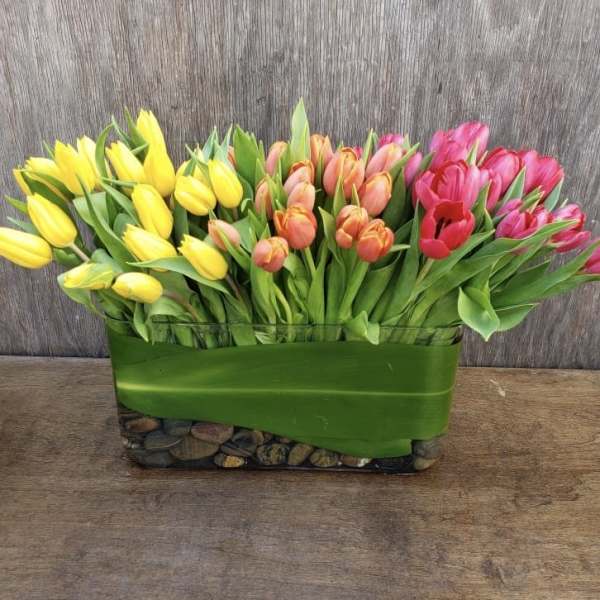 Rectangular arrangement of yellow, peach, and pink tulips in a glass vase