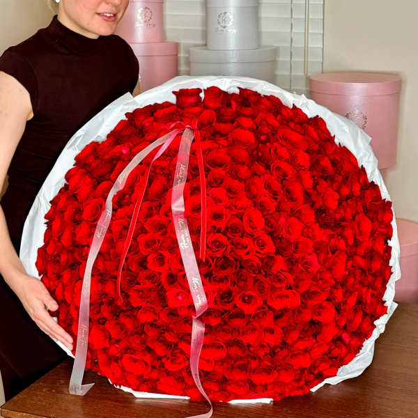 Large bouquet of red roses wrapped in white paper with pink ribbons