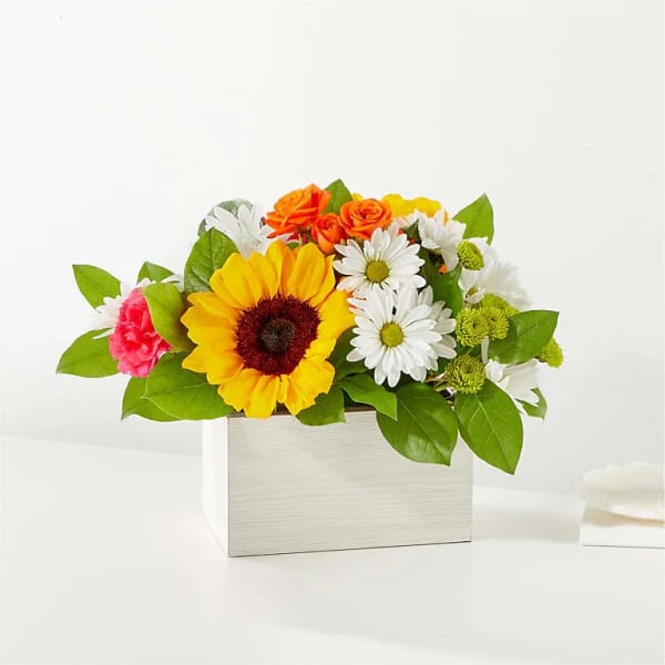 Mixed bouquet with a sunflower, daisies, and orange roses in a white box