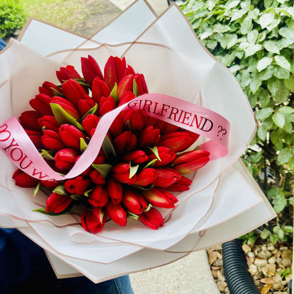Bouquet of red tulips wrapped in white paper with pink ribbon
