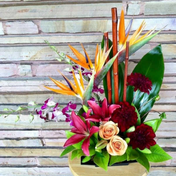 Tropical bouquet with bird of paradise, orchids, roses, and dark red blooms in a vase