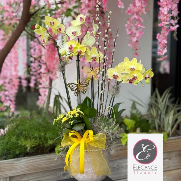Orchid Arrangement #16