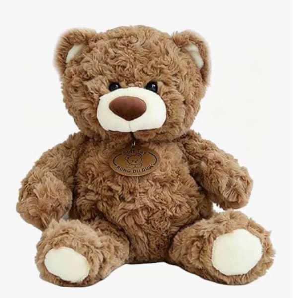 Brown teddy bear plush toy sitting on a white background
