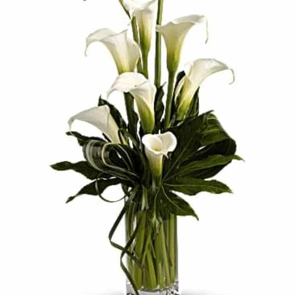White calla lilies arranged in a clear glass vase