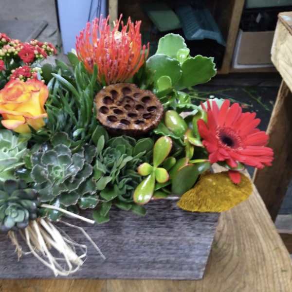Succulent arrangement with orange rose, red gerbera, and lotus pod in a gray container