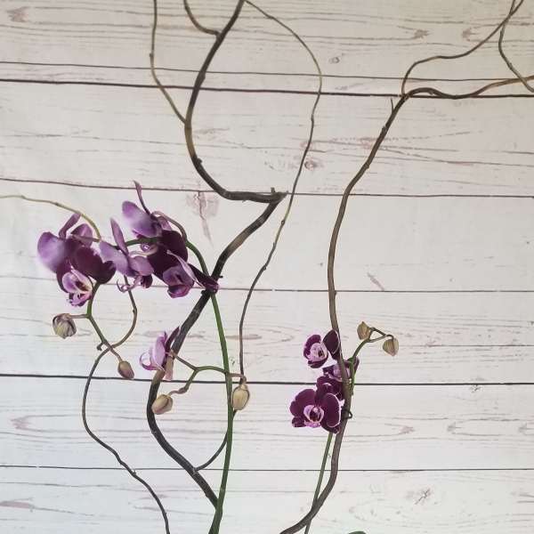 Purple orchids in a white pot with decorative branches