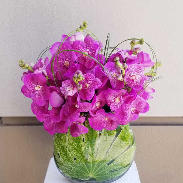 Pink orchids arranged in a clear glass vase with decorative leaves