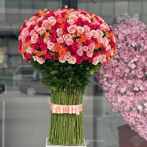 Large bouquet of pink, red, and orange roses with long stems tied together