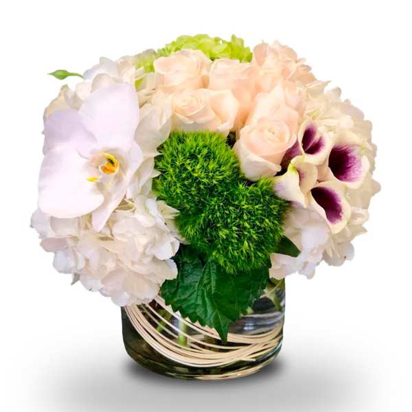 Bouquet of pale roses, hydrangeas, orchids, and green pom-pom flowers in a glass vase