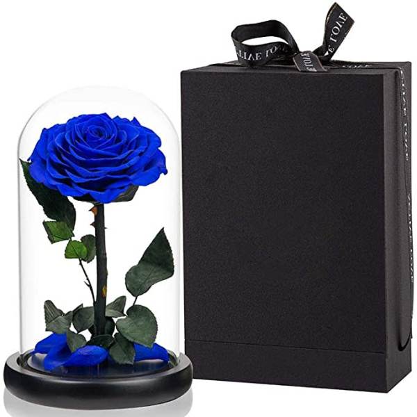 Blue rose under a glass dome beside a black gift box
