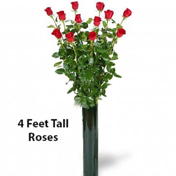 Tall arrangement of red roses in a dark vase