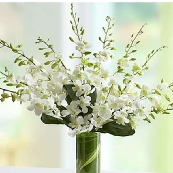 White orchid arrangement in a tall glass vase