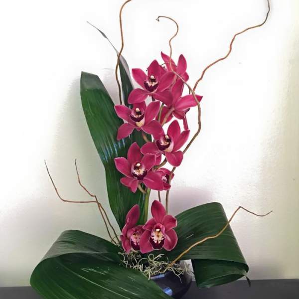 Magenta orchids arranged in a dark vase with large green leaves and curly branches.