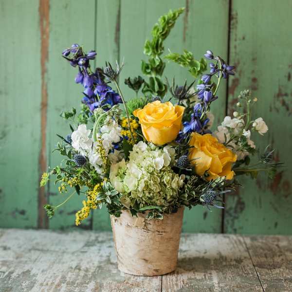 Yellow roses and blue flowers in a rustic white pot