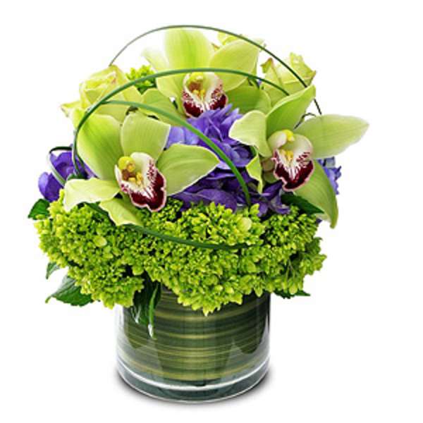 Green orchids and purple flowers in a glass vase