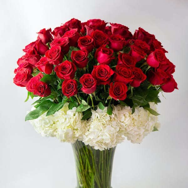 Red roses and white hydrangeas arranged in a clear glass vase