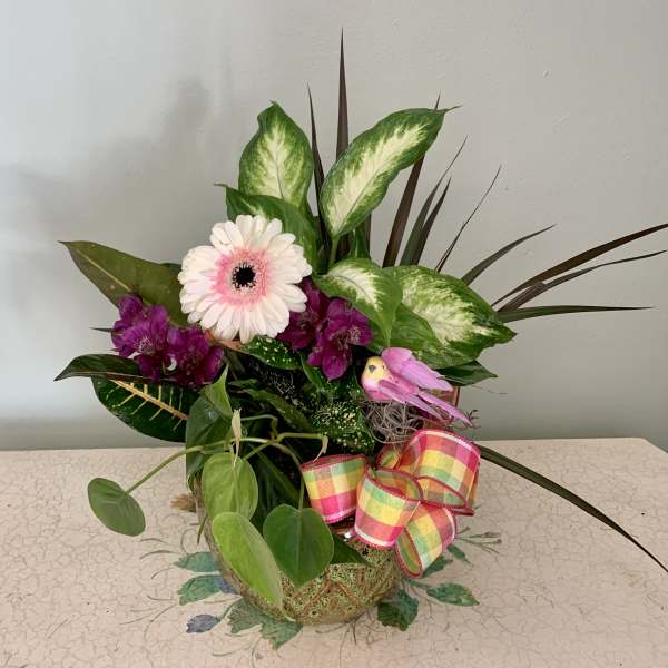Mixed floral arrangement with a pink gerbera daisy and purple blooms in a decorative pot