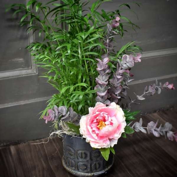 Pink peony in a decorative pot with tall green foliage