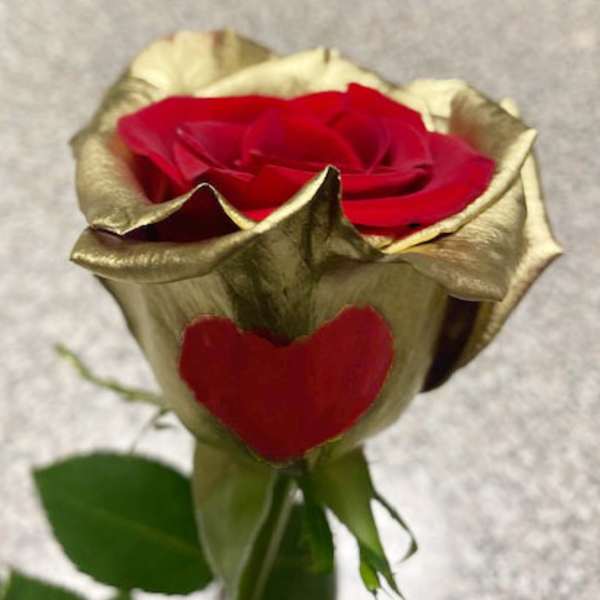 Single red rose with gold-tinted petals and a heart-shaped petal accent