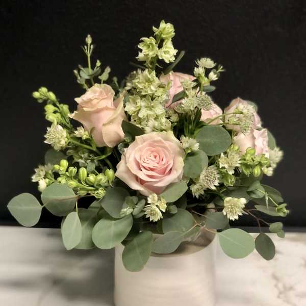 Blush roses and white filler flowers in a white vase