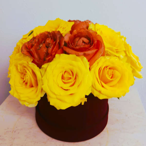 Yellow and orange roses arranged in a round box