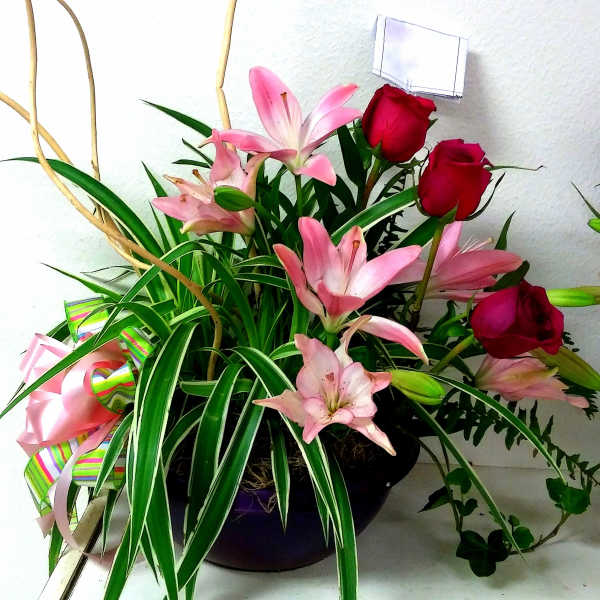 Pink lilies and red roses in a dark vase with a ribbon bow
