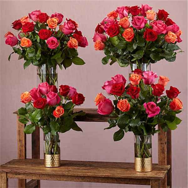 Four rose bouquets in glass vases on a wooden bench