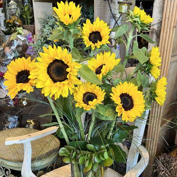 Tall bouquet of bright yellow sunflowers in a clear glass vase